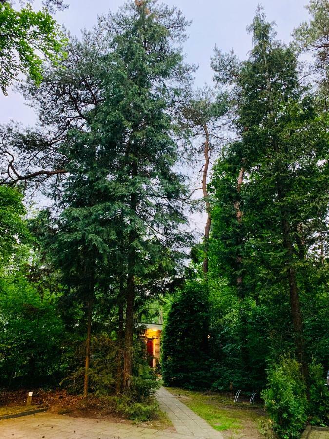 Zonnebos, Private Garden, Fresh Air, Relax! Villa Otterlo Exterior photo